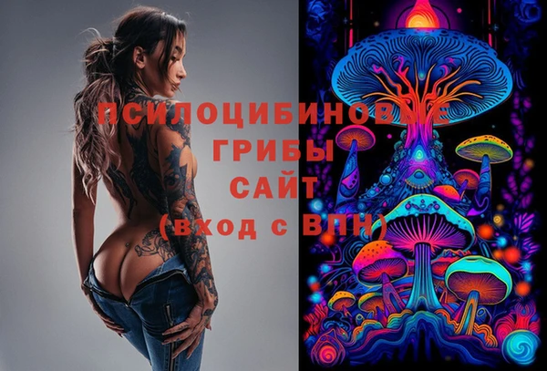 альфа пвп Алексеевка