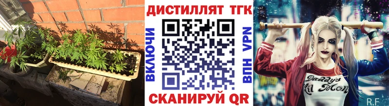 Дистиллят ТГК Wax  Лесной 