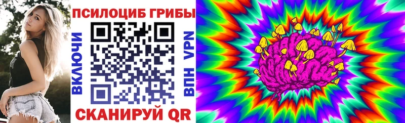 Псилоцибиновые грибы мицелий  МЕГА ссылка  Лесной  даркнет сайт 