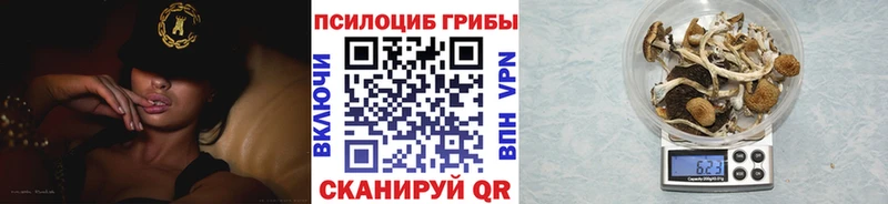 Псилоцибиновые грибы ЛСД Лесной